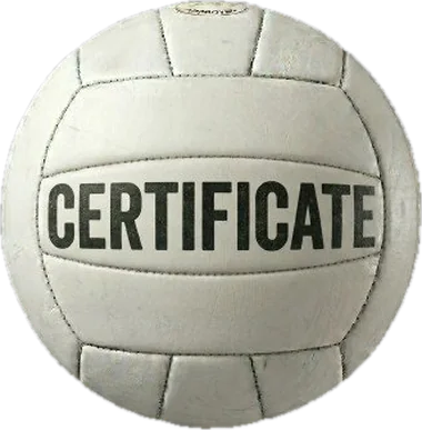 Verified SEO certification — SEO expert in Thrissur